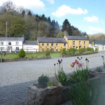 Neuadd Wen Guest House Carmarthen Extérieur photo