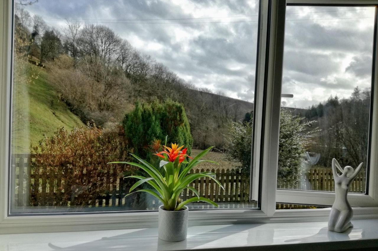 Neuadd Wen Guest House Carmarthen Extérieur photo